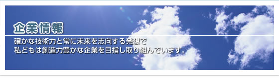 企業情報　確かな技術力と常に未来を志向する発想で私どもは創造力豊かな企業を目指し取り組んでいます。